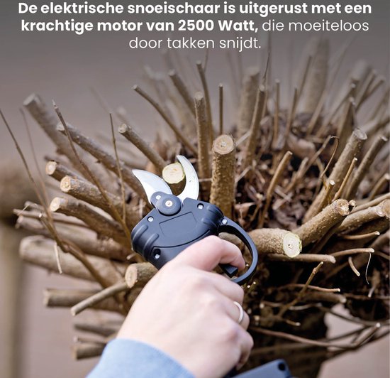 QLT - Snoeischaar met Accu
