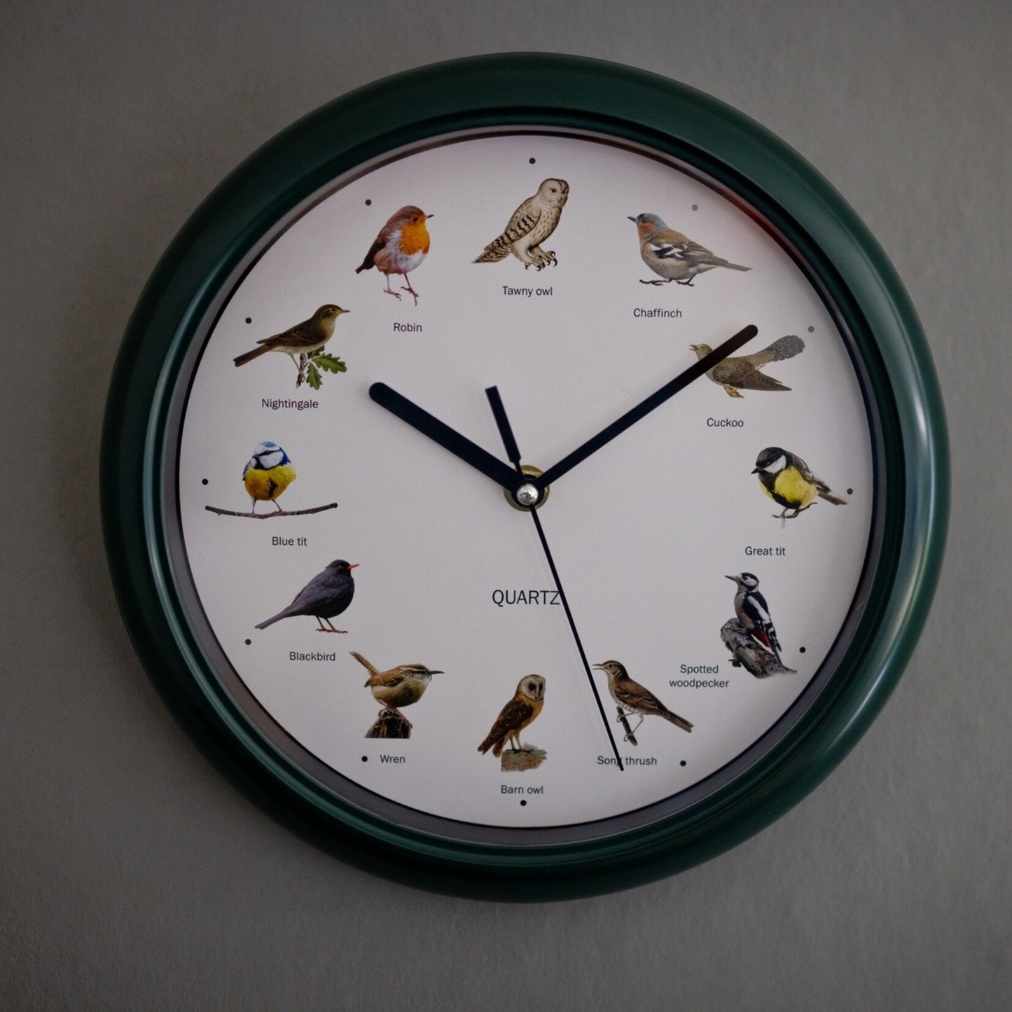 Nexxt - Vogelklok met vogelgeluiden